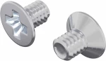 vidaXL Βίδες με Σκούρο Κεφάλι 2 pcs Ασημί M4 x 6 χλστ Ατσάλι