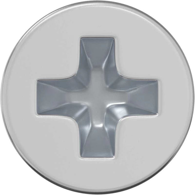 vidaXL Βίδες με Σκούρο Κεφάλι 2 pcs Ασημί M4 x 6 χλστ Ατσάλι