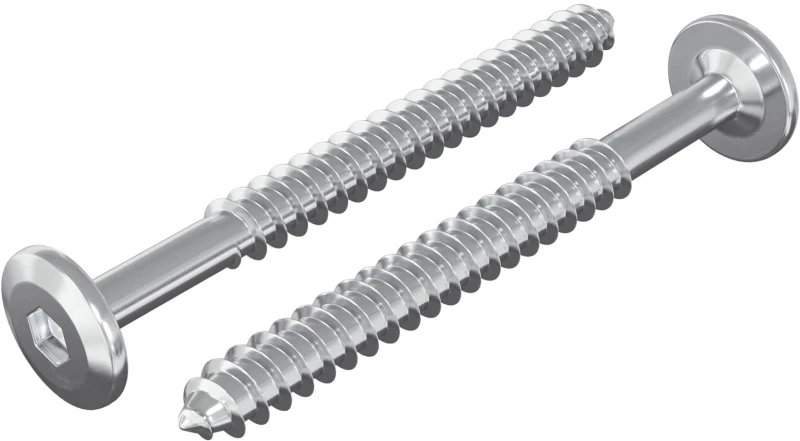 vidaXL Ξυλοβίδες 2 pcs Ασημί M6 x 70 χιλ. Ατσάλι