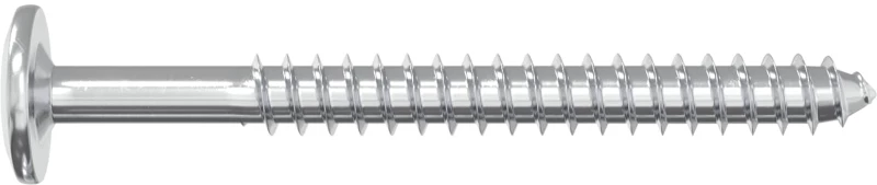 vidaXL Ξυλοβίδες 2 pcs Ασημί M6 x 70 χιλ. Ατσάλι