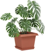 vidaXL Γλάστρες φυτών 24 pcs Κεραμιδί 23 x 23 x 17,5 εκ Πλαστικό