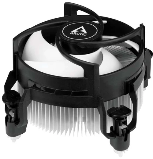 Arctic Alpine 17 (ACALP00040A)