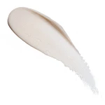 Seventeen Velvet Eyelid Primer