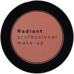 Radiant Professional Eye Color - RADIANT PROFESSIONAL EYE COLOR 293