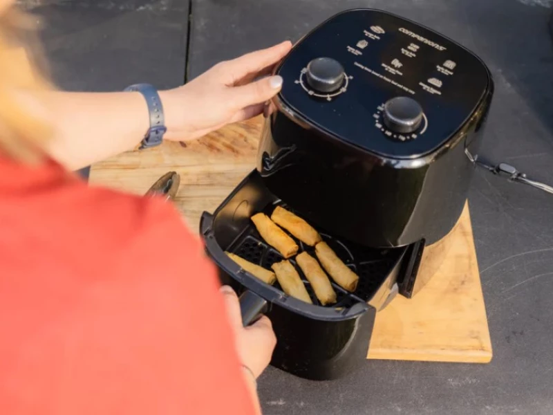 Air Fryer Roam Companion 4lt Κωδ. OZT-966