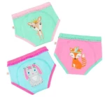 Εκπαιδευτικά Βρακάκια – Woodland Princesses Zoocchini