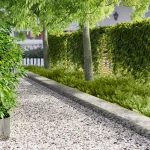 Περίγραμμα γκαζόν 20 pcs 103 x 30 εκατοστά μέταλλο Ασημί |8008319