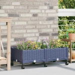 Κήπος Γλαστράκι με Ροδάκια Μπλε Γκρι 80 x 40 x 33 cm PP |3422956