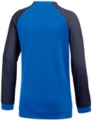 Nike Dri FIT Academy Pro Jr DH9283-463