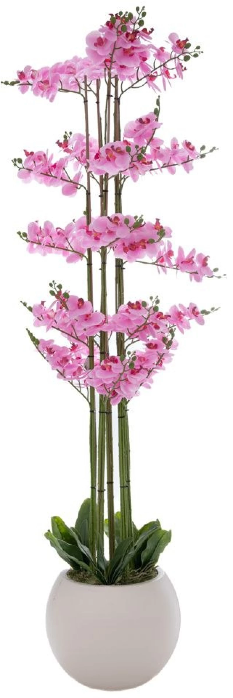 Ορχιδέα Phalaenopsis 92665 Σε Κεραμικό Κασπώ 190cm Pink Κεραμικό,Πλαστικό