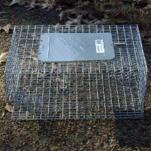 SPARROW CAGE TRAP ΠΑΓΙΔΕΣ ΠΤΗΝΩΝ