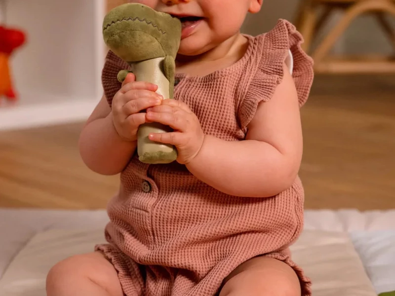 Baby Gift Box Dino friends