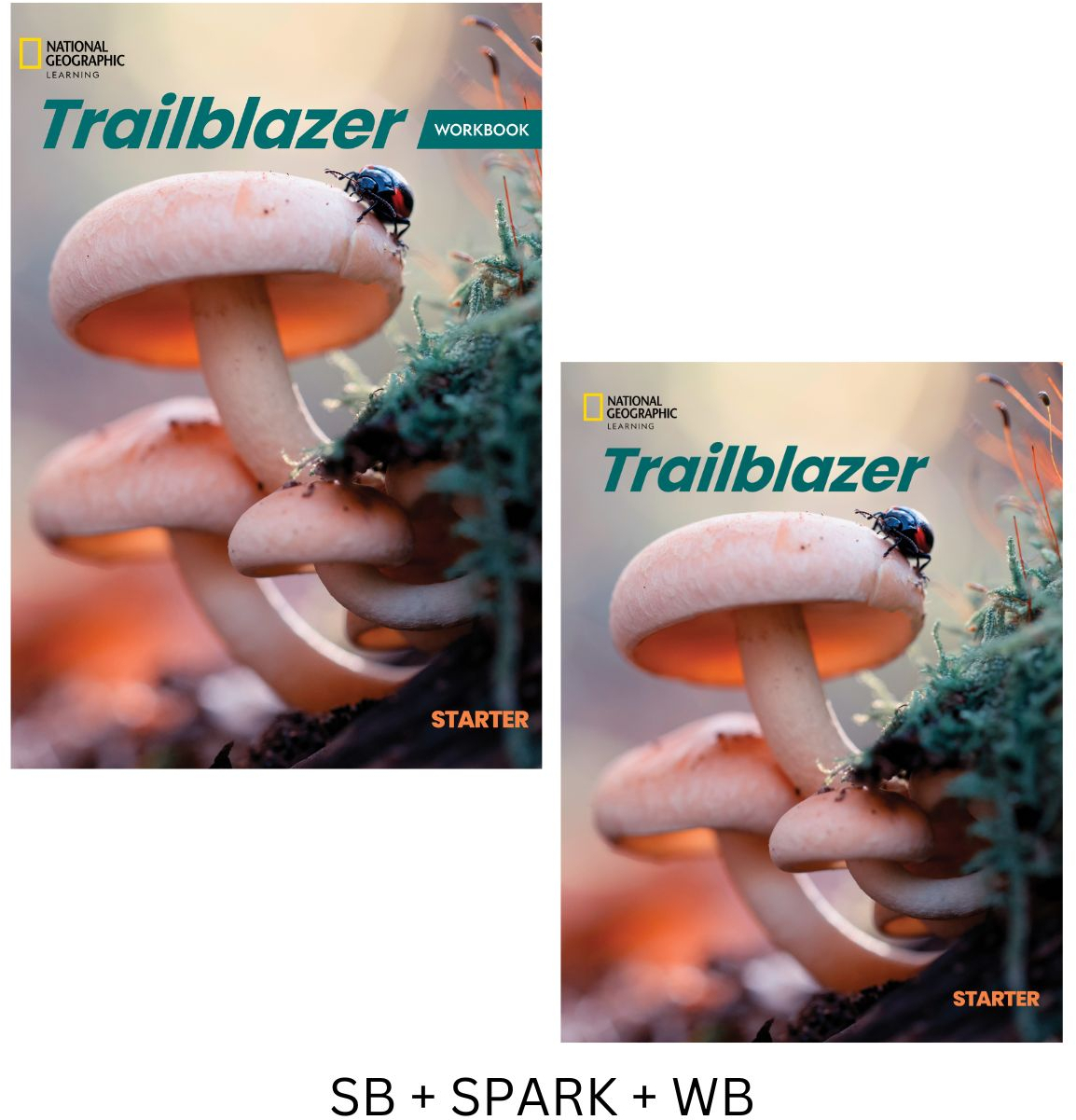 Trailblazer Starter Bundle (sb + Spark + wb)