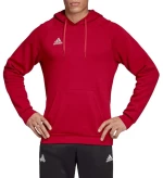 adidas Tan Hooded Sweatshirt DZ9613