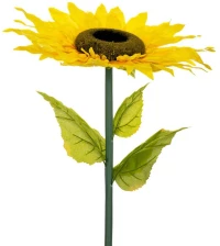 Ηλίανθος Γίγας 85608 115cm Yellow
