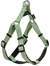 Σαμαράκι Σκύλου Glee με Neoprene M 20mmx56-66cm Πράσινο